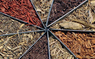 CATHERINES LANDSCAPE AND NURSERY